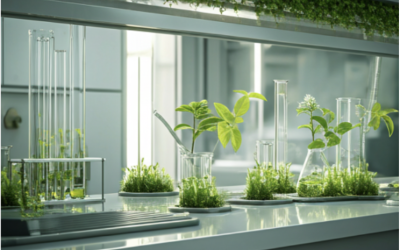 Detergentes Bio: Limpieza potente sin químicos agresivos